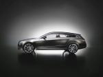 Mercedes-Benz ConceptFASCINATION 2008 года